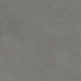 Dlažba Rawtech Grey 60x60