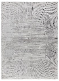 Koberec BLISS Z206AZ256 svetlosivý/sivý - Čiary, moderný, štrukturálny