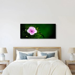 Obraz ružového kvetu (120x50 cm)