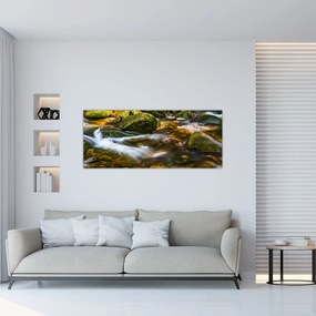 Obraz potôčiku (120x50 cm)