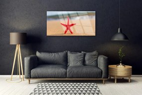 Obraz na akrylátovom skle Pláž hviezdice umenie 100x50 cm