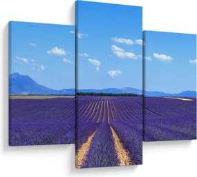 Obraz - Levanduľové pole (90x60 cm)