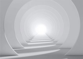 Obraz - 3D tunel (70x50 cm)
