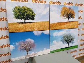 Obraz štyri ročné obdobia