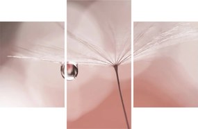 Obraz - Kvapka rosy (90x60 cm)