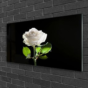 Skleneny obraz Ruže kvet rastlina 140x70 cm
