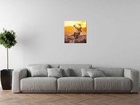 Gario Obraz s hodinami Silný jeleň Rozmery: 60 x 40 cm