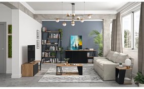 Konferenčný stolík s doskou v dekore orechového dreva 100x55 cm Albi - TemaHome