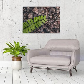 Sklenený obraz zelenej rastliny (70x50 cm)