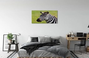 Obraz na plátne zebra 125x50 cm