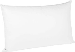 XXXLutz OBLIEČKA NA VANKÚŠ, 40/80 cm, bavlna Fleuresse - Poťahy & obliečky - 003273008801