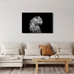 Obraz - Leopard (90x60 cm)