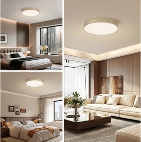 Brilagi - LED stropné svietidlo POOL LED, 60 W, 230 V, 3000/4000/6000 K, priemer 50 cm, zlaté