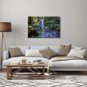 Obraz australského dažďového lesa (90x60 cm)