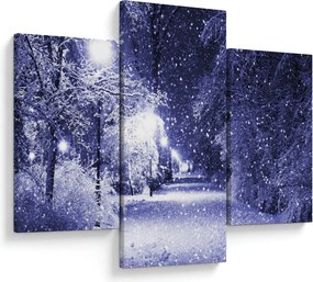 Obraz - Čarovná zimná noc (90x60 cm)