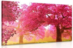 Obraz kúzelné rozkvitnuté stromy čerešne Varianta: 120x80