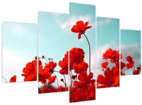 Obraz poľa s jasne červenými kvetmi (150x105 cm)