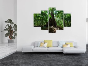 Obraz - Korene stromu (150x105 cm)