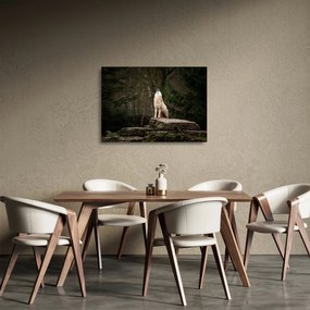 Sklenený obraz - Vytie vlka (70x50 cm)