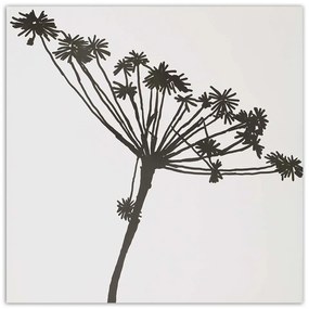Gario Obraz na plátne Čierny tieň Cyperus Rozmery: 30 x 30 cm