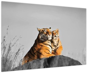 Obraz - Tigrice a jej mláďa, čiernobiely variant (90x60 cm)
