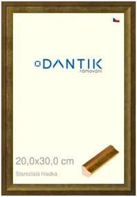 DANTIK rám na obraz 20x30 | Starozlatá hladká (Sklo Čiré)