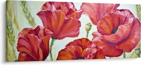 Obraz - Kvety vlčích makov (120x50 cm)