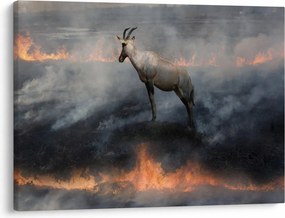 Obraz kamzíka v ohni (70x50 cm)