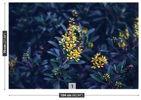 Fototapeta Vliesová Žlté kvety 104x70 cm