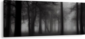 Obraz - Les v hmle (120x50 cm)