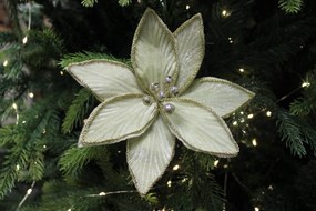 Krémová zamatová vianočná ruža na štipci 18cm