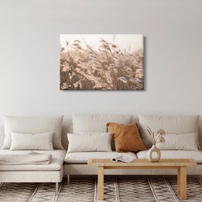 Obraz - Lúčny vánok (90x60 cm)