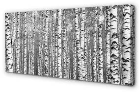 Obraz canvas Čierna a biela strom 100x50 cm