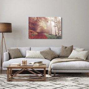 Obraz - Jesenná prechádzka lesom (90x60 cm)