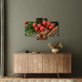 Obraz jarabiny a škorice (90x60 cm)