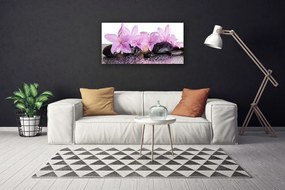 Obraz Canvas Kvety kamene zen kúpele 120x60 cm