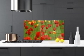 Nástenný panel  Tulipány rastlina 120x60 cm