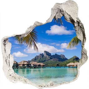 Foto fotografie diera na stenu Palmy na bora bora nd-p-90274909