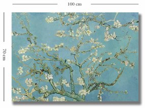 70100VANGOGH050