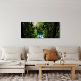 Obraz - Priezor medzi stromami (120x50 cm)