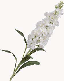 Rastlinné dekorácie Matthiola Inca, 2 ks