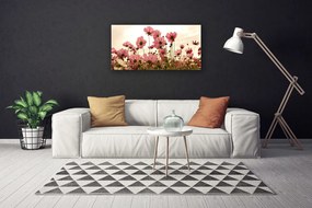 Obraz Canvas Poľné kvety lúka príroda 125x50 cm