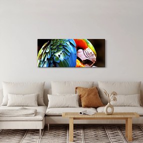 Obraz - Papagáj (120x50 cm)