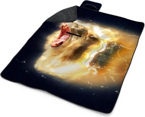 Sablio Plážová deka Lev art: 200x140 cm