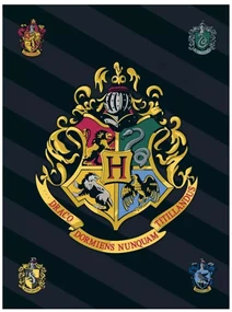 DETSKÁ FLEECOVÁ DEKA HARRY POTTER 100X140 CM VZOROVANÁ