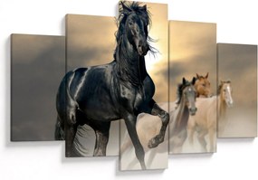Obraz - Kone (150x105 cm)