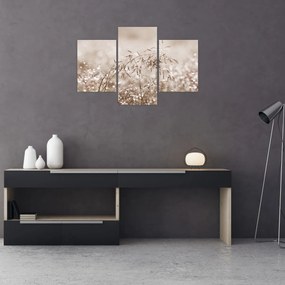 Obraz - Lúka v hnedých tónoch (90x60 cm)
