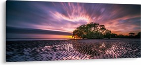 Obraz stromu na pláži (120x50 cm)