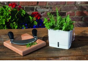 Cole&Mason - Kuchynská doska na krájanie a kolískový nôž 21,5x51,5 cm buk