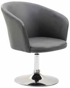 Design-Shop Kreslo Arcade lounger - Sivá